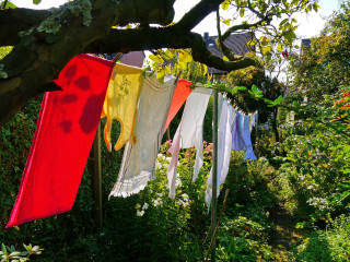 Wäsche im Garten