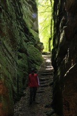 Wanderweg Grüne Hölle, Südeifel