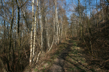 Wanderweg im Grube-Adolf-Park bei Herzogenrath-Merkstein