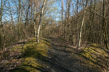 Wanderweg im Grube-Adolf-Park bei Herzogenrath-Merkstein