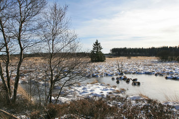 Wasserrückstau im Brackvenn, Hohes Venn, Winter