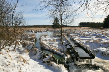 Wasserrückstau im Brackvenn, Hohes Venn, Winter