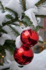Weihnachtskugeln an verschneitem Tannenbaum