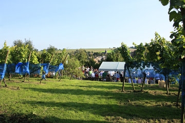 Weinfest in den Weinbergen von Wahlwiller, Südlimburg