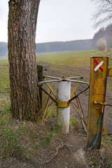 Wiesenweg mit Drehkreuz in der Nähe von Lontzen-Busch, Belgien
