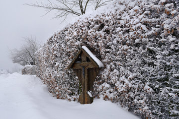 Winter in  Eicherscheid