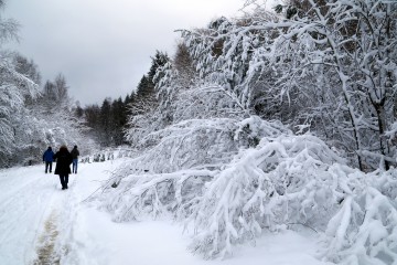 Winterspaziergang bei der Eupener Talsperre