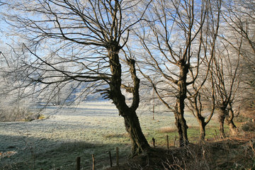 Wurmtal im Winter, südlich vom Teuterhof