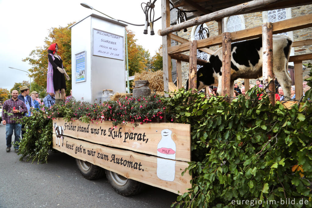 Detailansicht von 