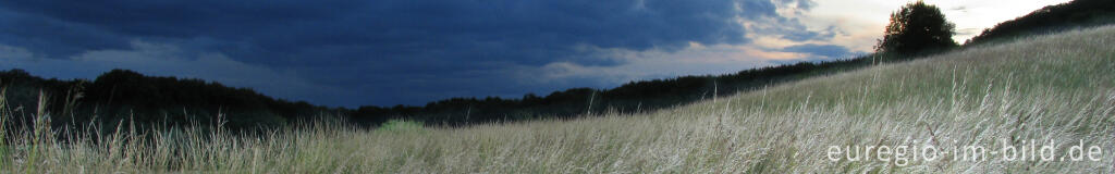 Detailansicht von Abendstimmung bei Eys in Süd-Limburg