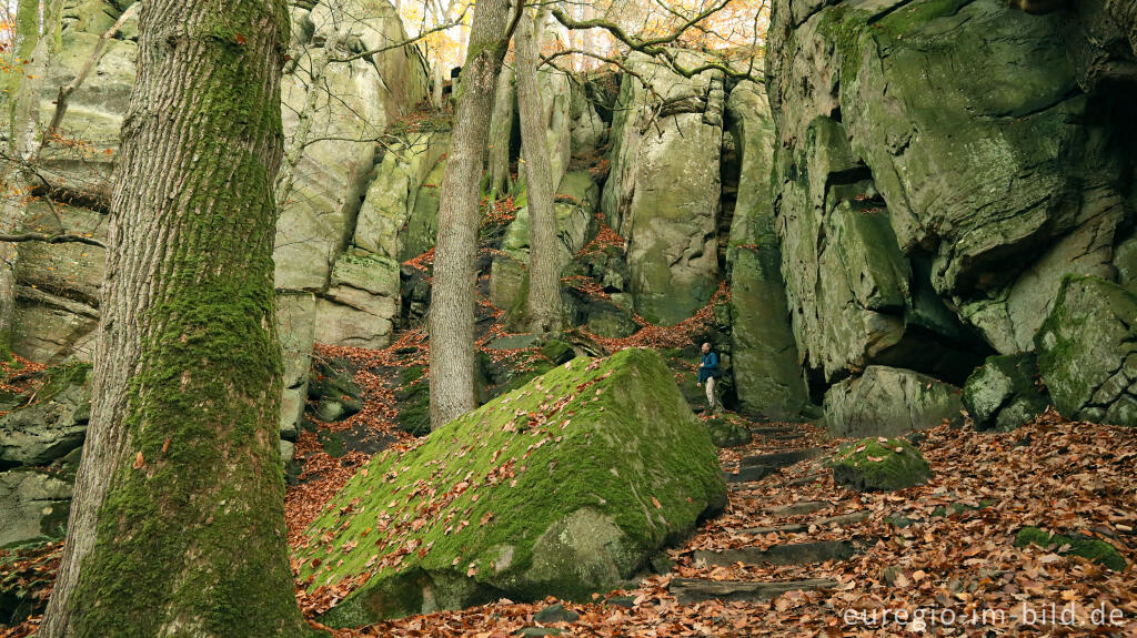 Detailansicht von Abzweigung vom Wanderweg B2 im Müllerthal, Luxemburg