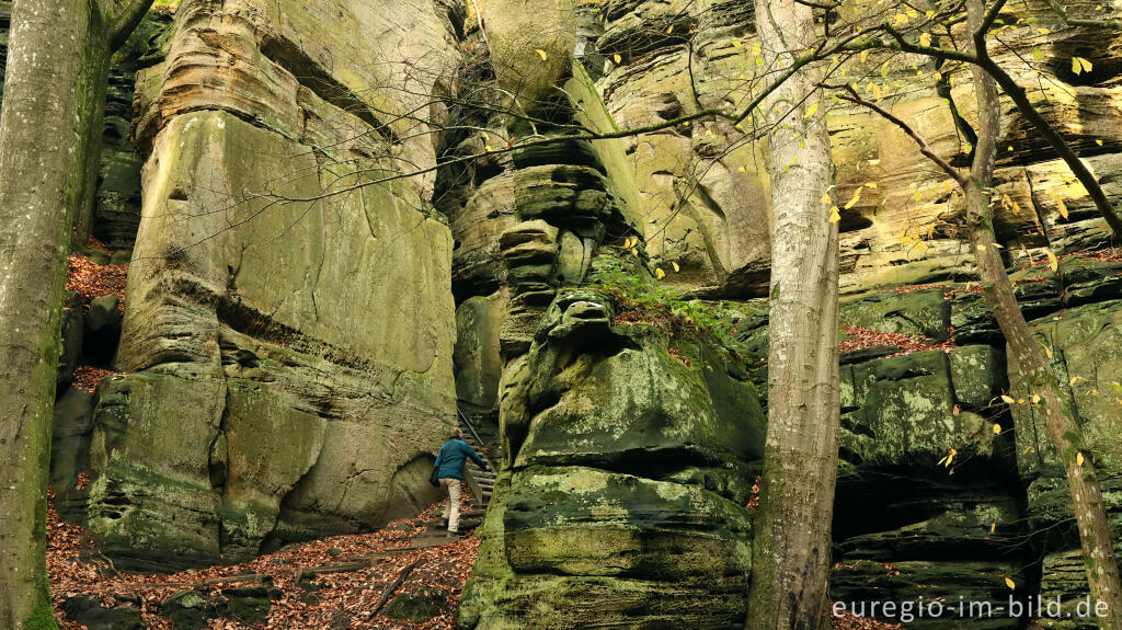 Detailansicht von Abzweigung vom Wanderweg B2 im Müllerthal, Luxemburg