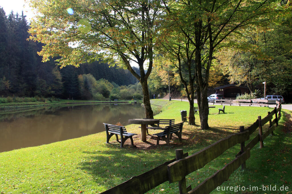 Detailansicht von Angelweiher bei Trittscheid,  11.Etappe des Eifelsteigs