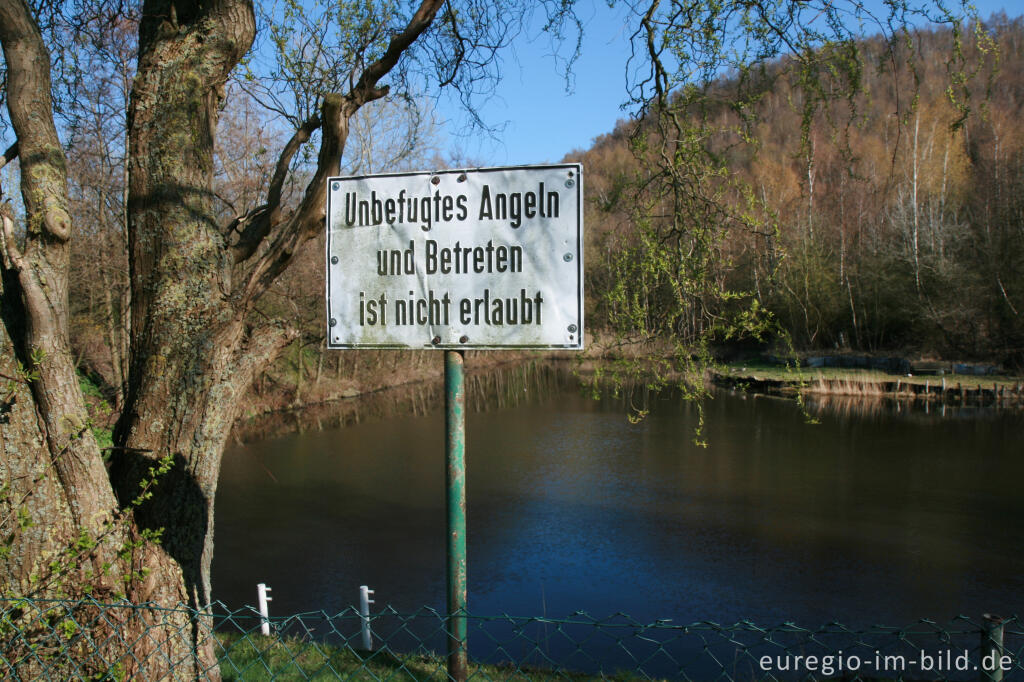 Detailansicht von Angelweiher im Grube-Adolf-Park bei Plitschard