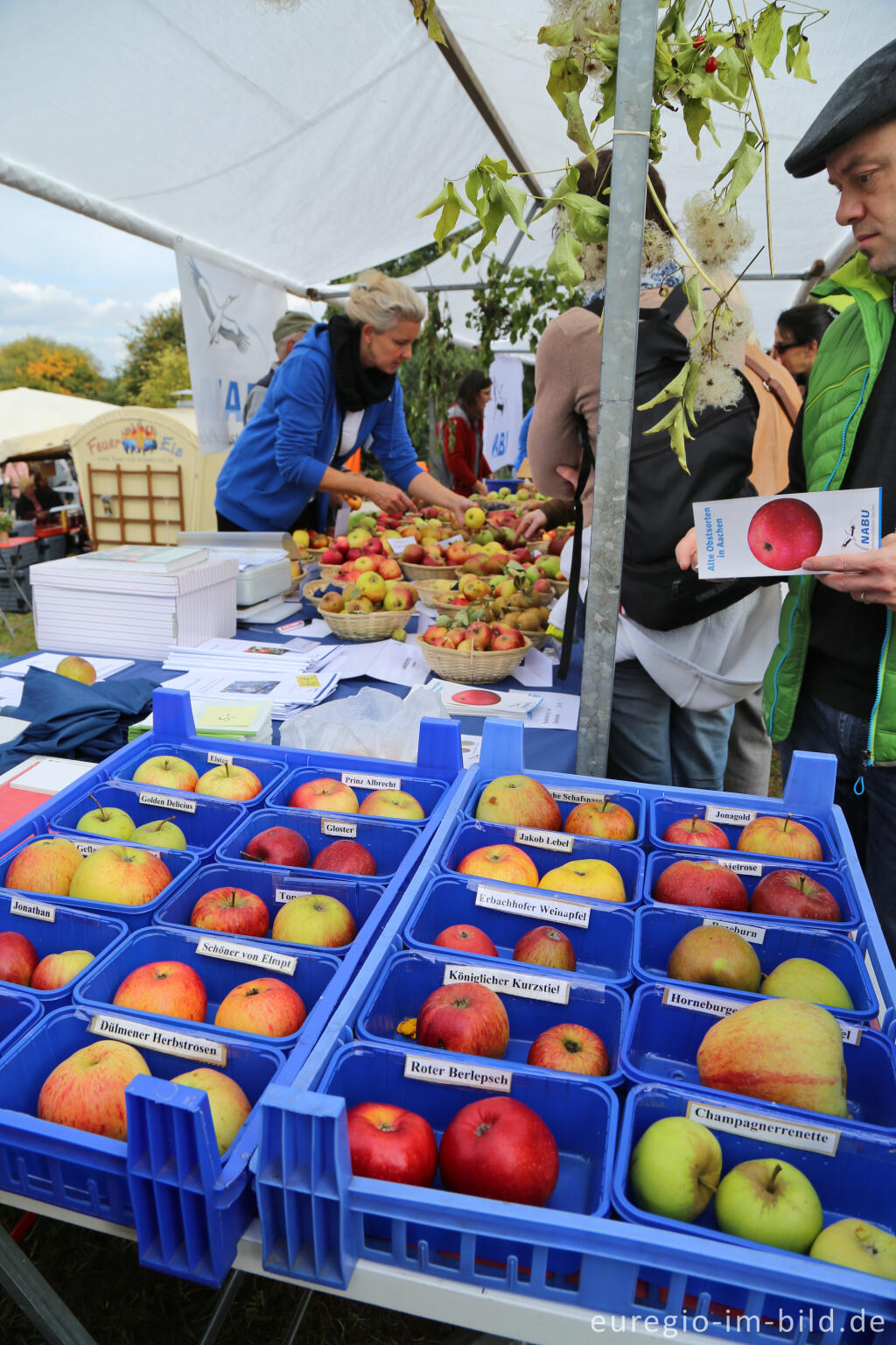 Detailansicht von Auf dem 9. Aachener Obstwiesenfest 2015
