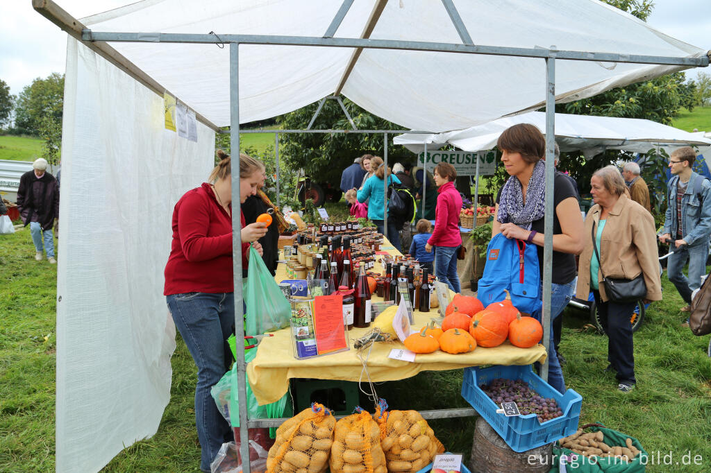 Detailansicht von Auf dem 9. Aachener Obstwiesenfest 2015