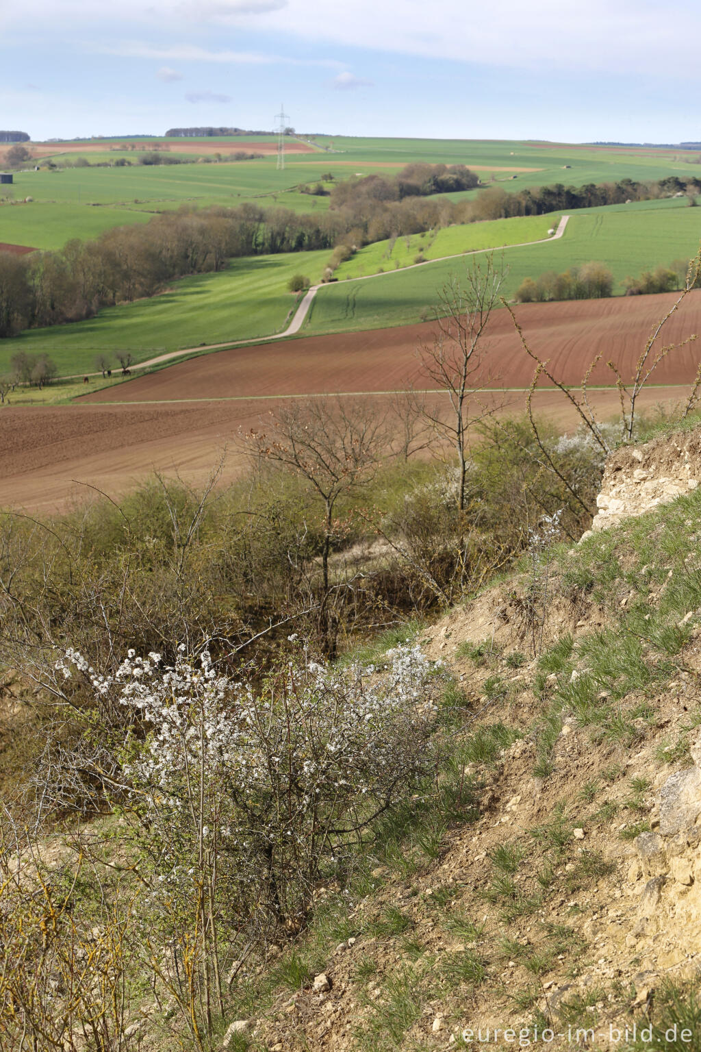 Detailansicht von Auf dem Bürvenicher Berg 