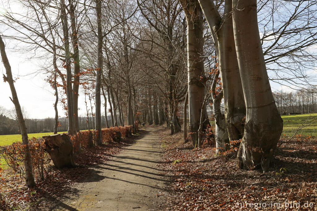Auf dem Kieselbacherweg westlich von Imgenbroich