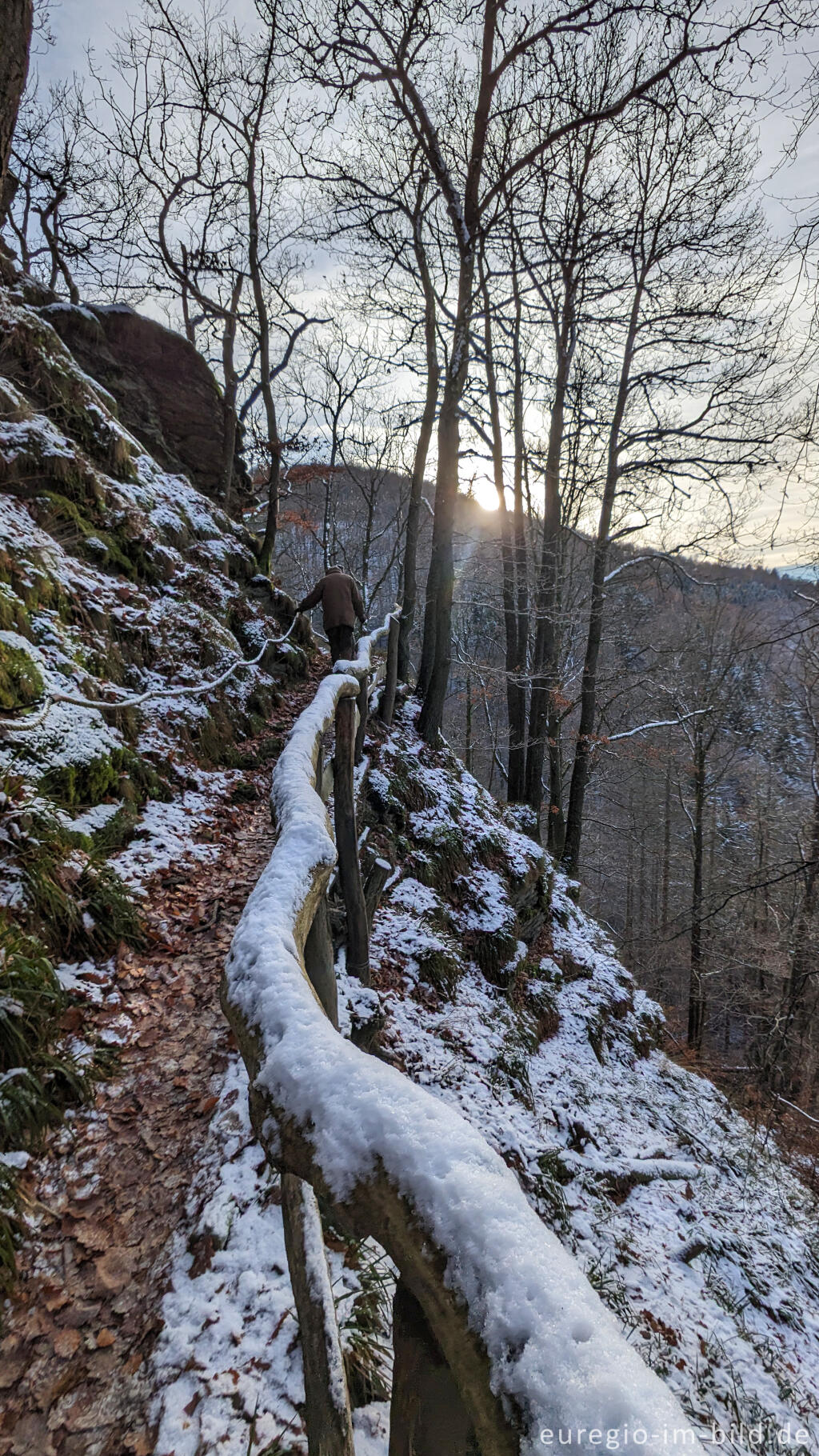 Detailansicht von Auf dem "Schöpfungspfad" im Nationalpark Eifel