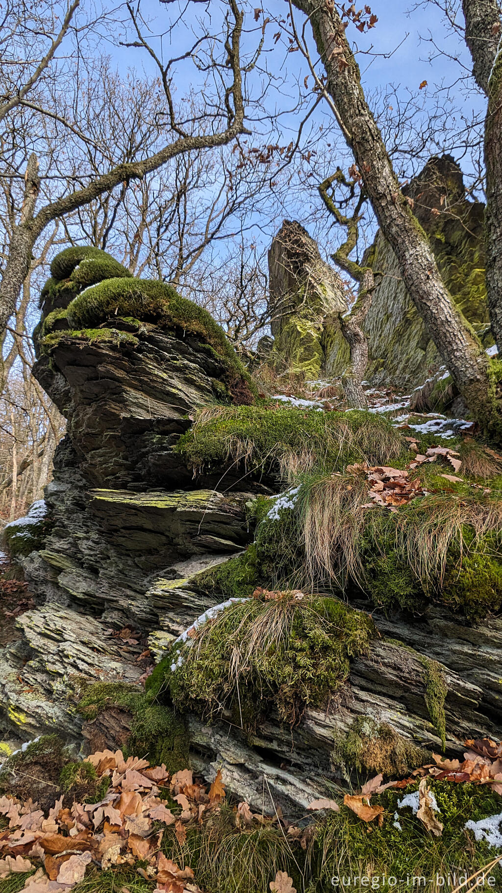 Detailansicht von Auf dem "Schöpfungspfad" im Nationalpark Eifel