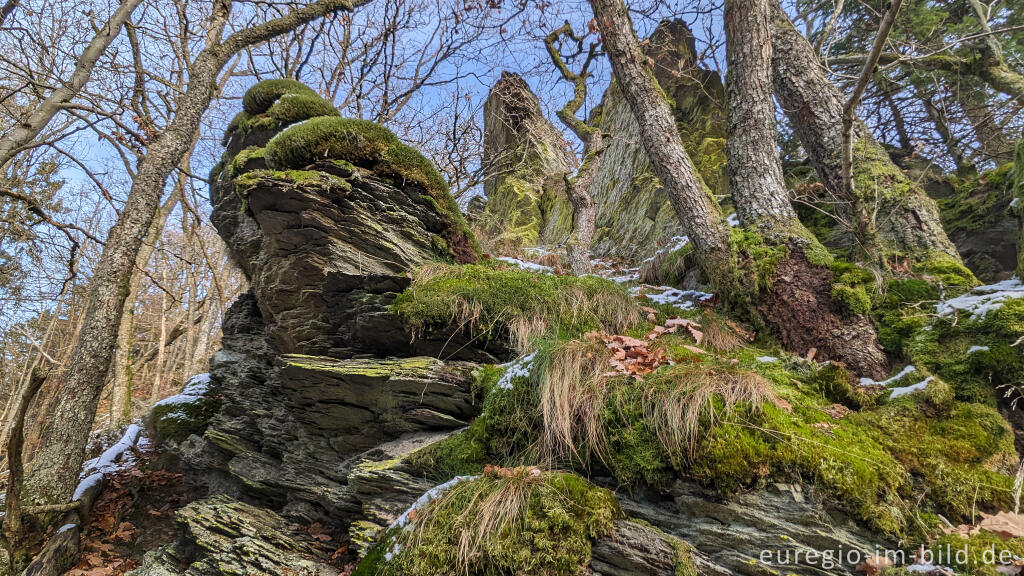 Detailansicht von Auf dem "Schöpfungspfad" im Nationalpark Eifel