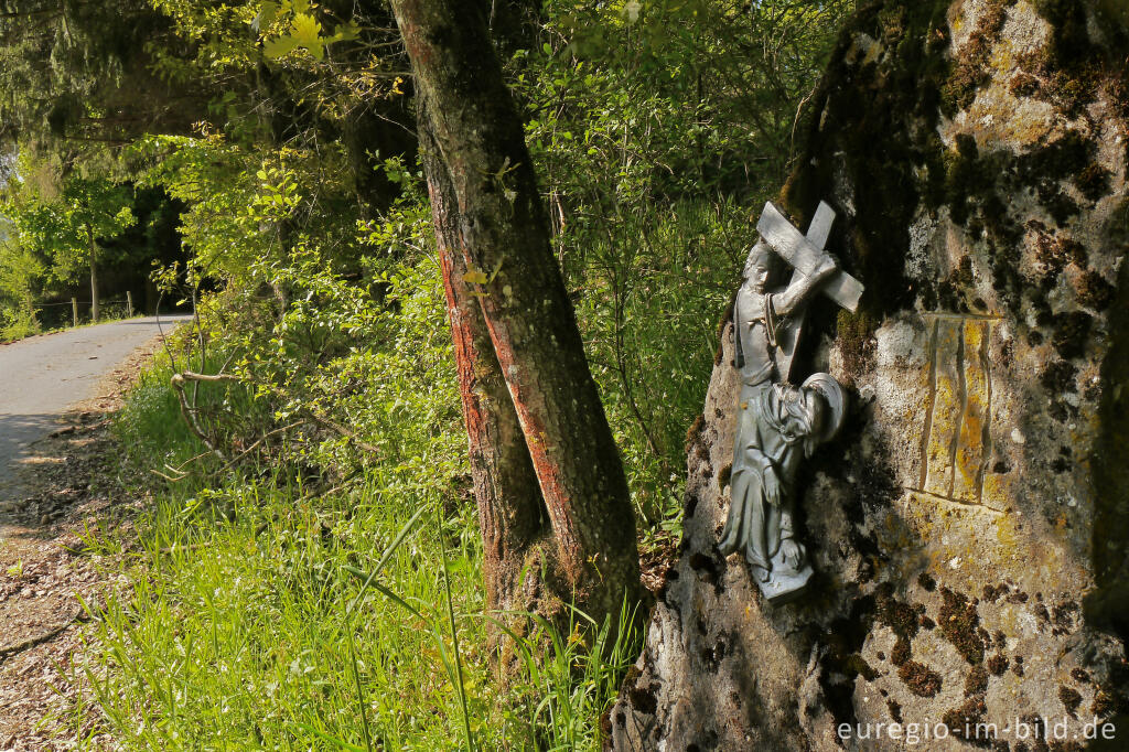 Detailansicht von Auf dem südlichen Abscnitt des Vennbahn-Radwegs, RAVeL L47, entlang der Braunlauf