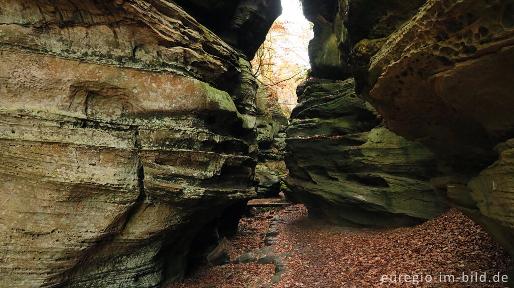 Detailansicht von Auf dem Wanderweg B2 im Müllerthal, Luxemburg