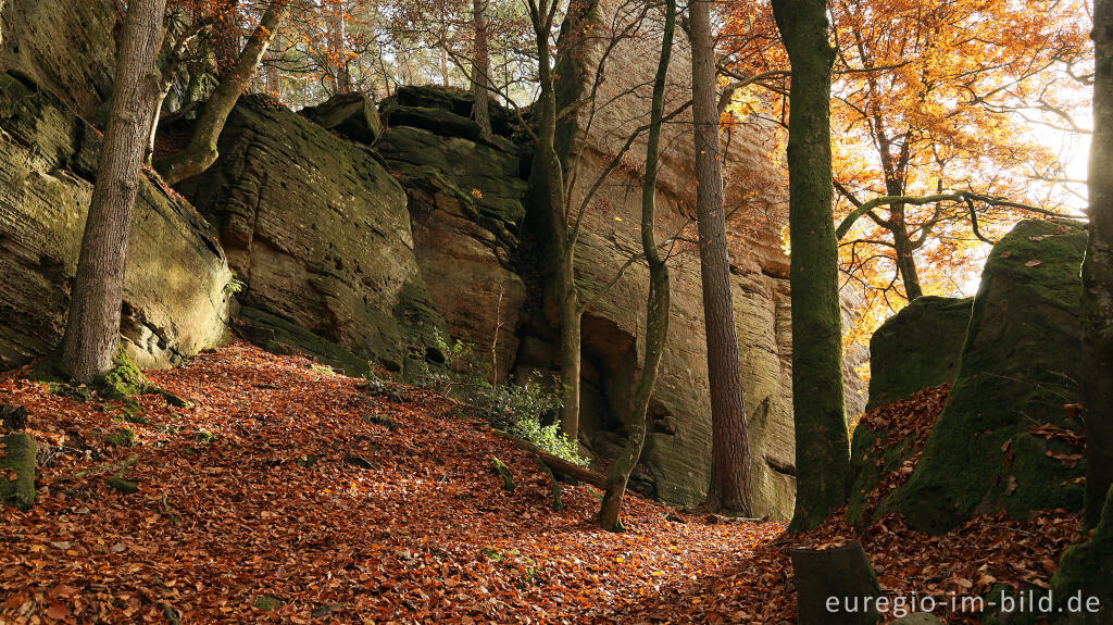 Detailansicht von Auf dem Wanderweg B2 im Müllerthal, Luxemburg