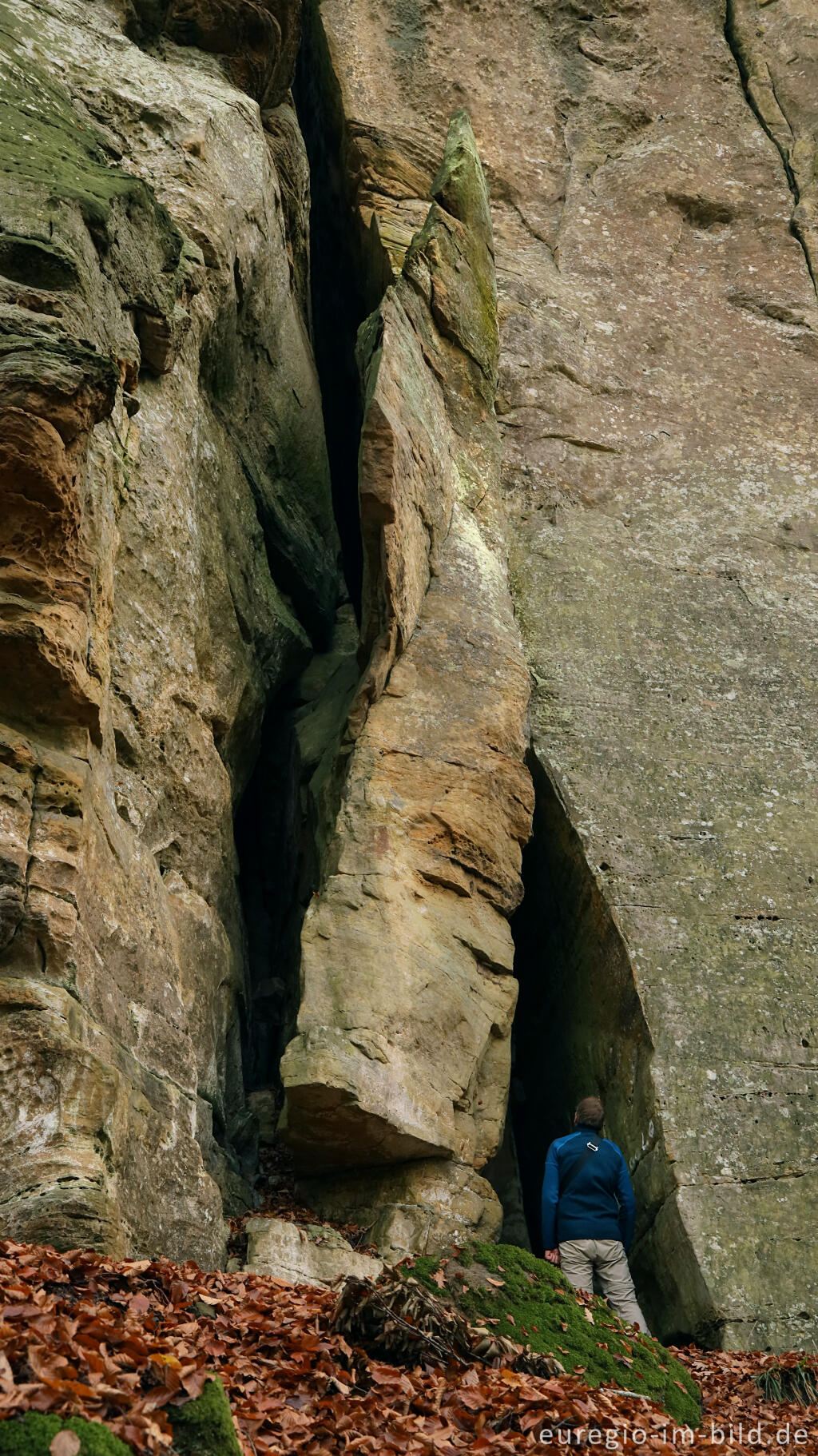 Detailansicht von Auf dem Wanderweg B2 im Müllerthal, Luxemburg