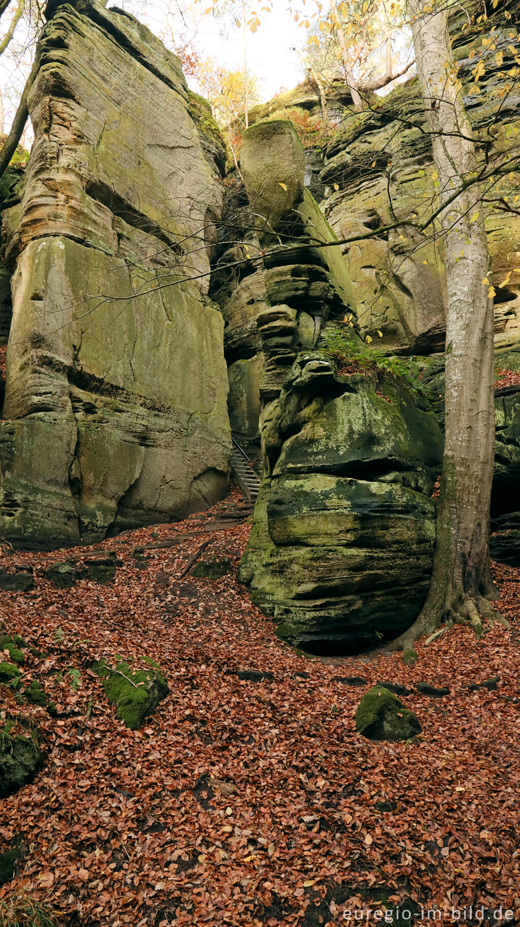 Detailansicht von Auf dem Wanderweg B2 im Müllerthal, Luxemburg