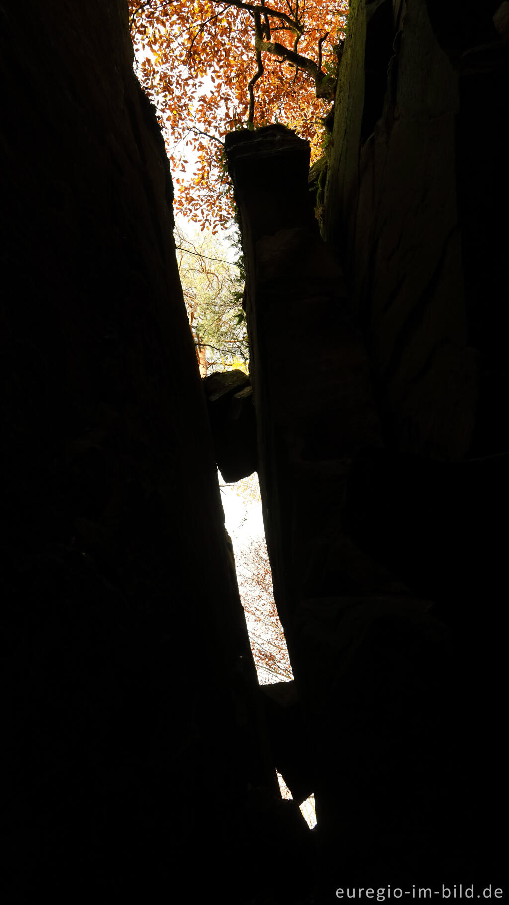 Detailansicht von Auf dem Wanderweg B2 im Müllerthal, Luxemburg