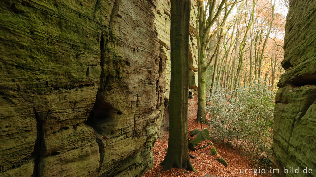 Detailansicht von Auf dem Wanderweg B2 im Müllerthal, Luxemburg