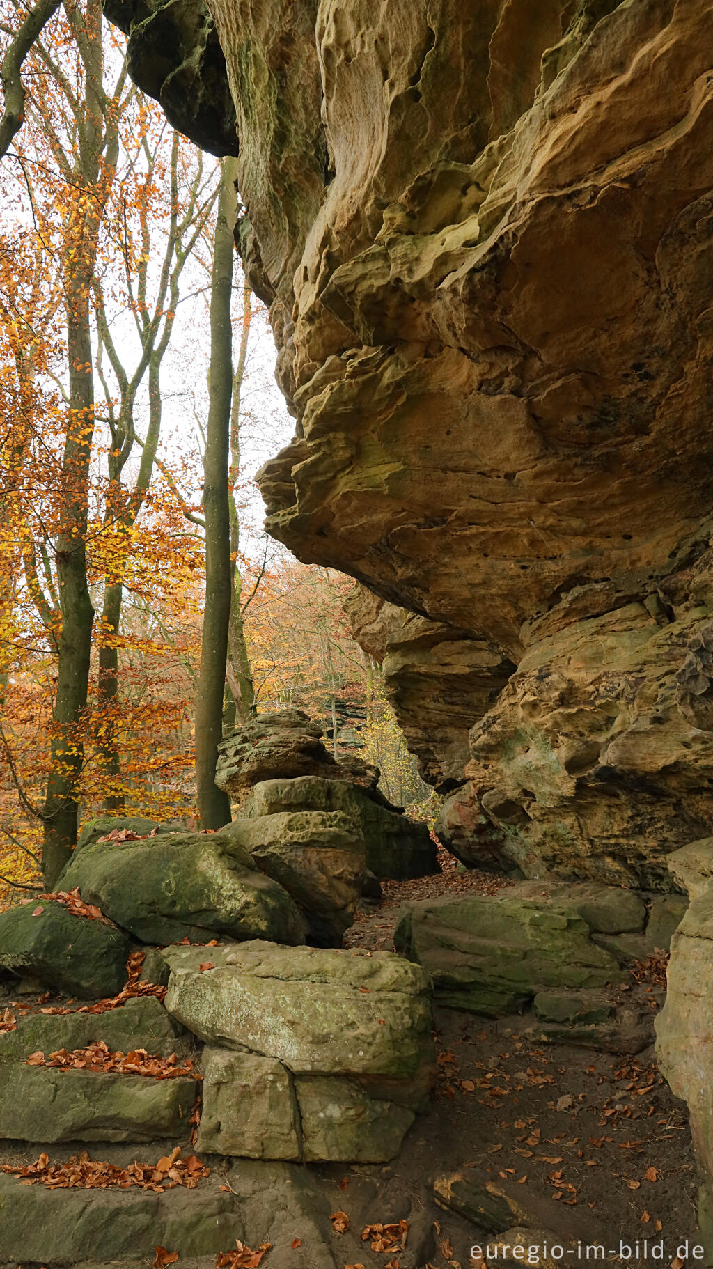 Detailansicht von Auf dem Wanderweg B2 im Müllerthal, Luxemburg
