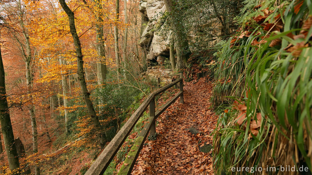 Detailansicht von Auf dem Wanderweg B2 im Müllerthal, Luxemburg