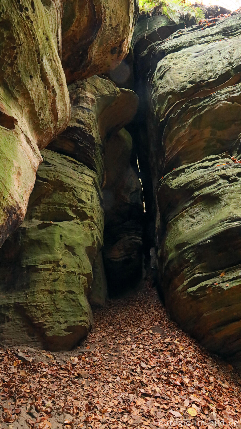 Detailansicht von Auf dem Wanderweg B2 im Müllerthal, Luxemburg