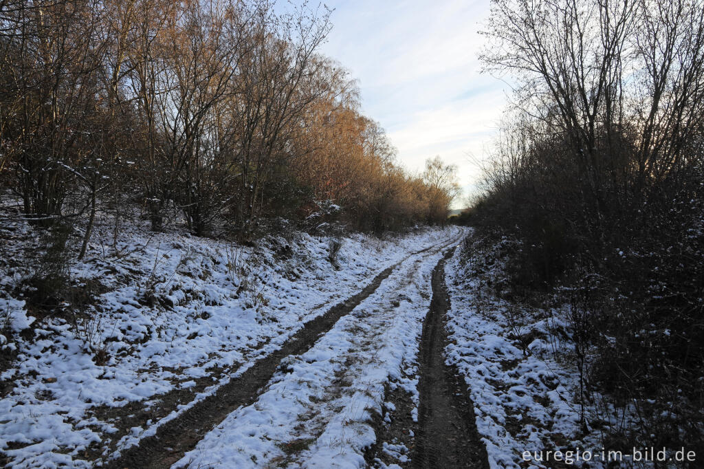 Detailansicht von Auf der Dreiborner Hochfläche