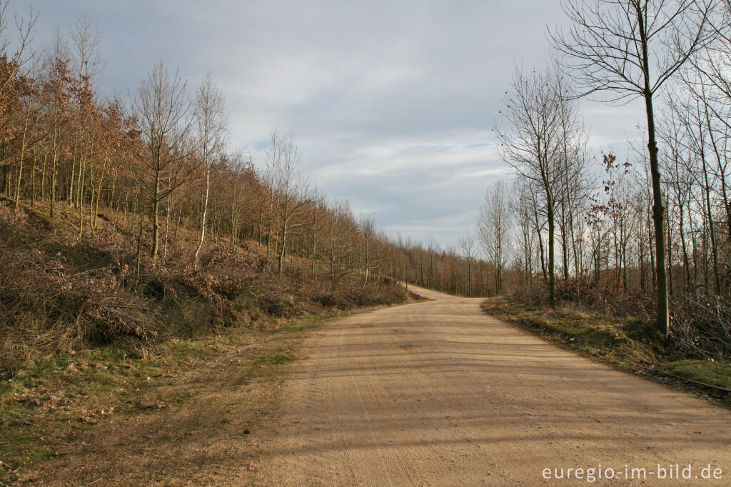 Detailansicht von Auf der Sophienhöhe