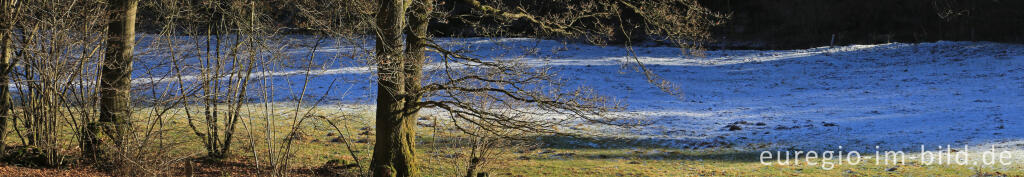 Detailansicht von Auwiese beim Keltzerbach, "Dorfrundgang Lammersdorf"