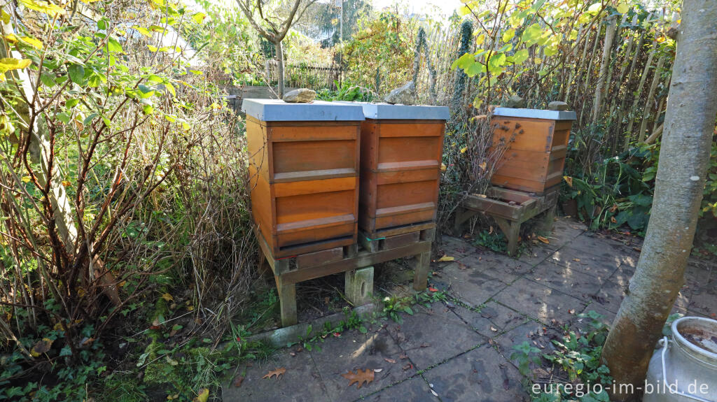 Detailansicht von Bienenstöcke im Garten von Detlef Röper, Aachen