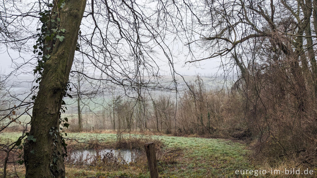 Detailansicht von Blick vom Eyserbos nach Süden
