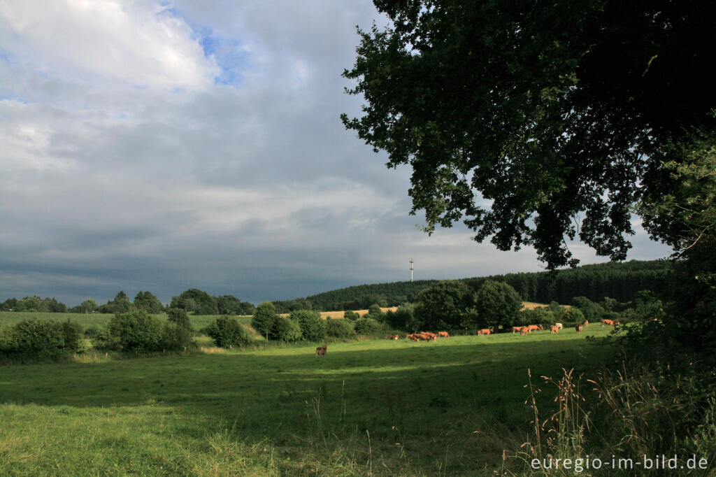 Detailansicht von Blick vom Philippionsweg nach Süden, Aachen - Hanbruch