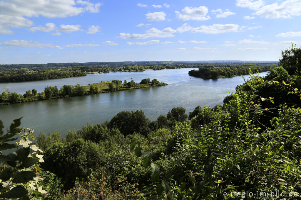 Detailansicht von Blick vom Plateau von Caestert auf die Maas
