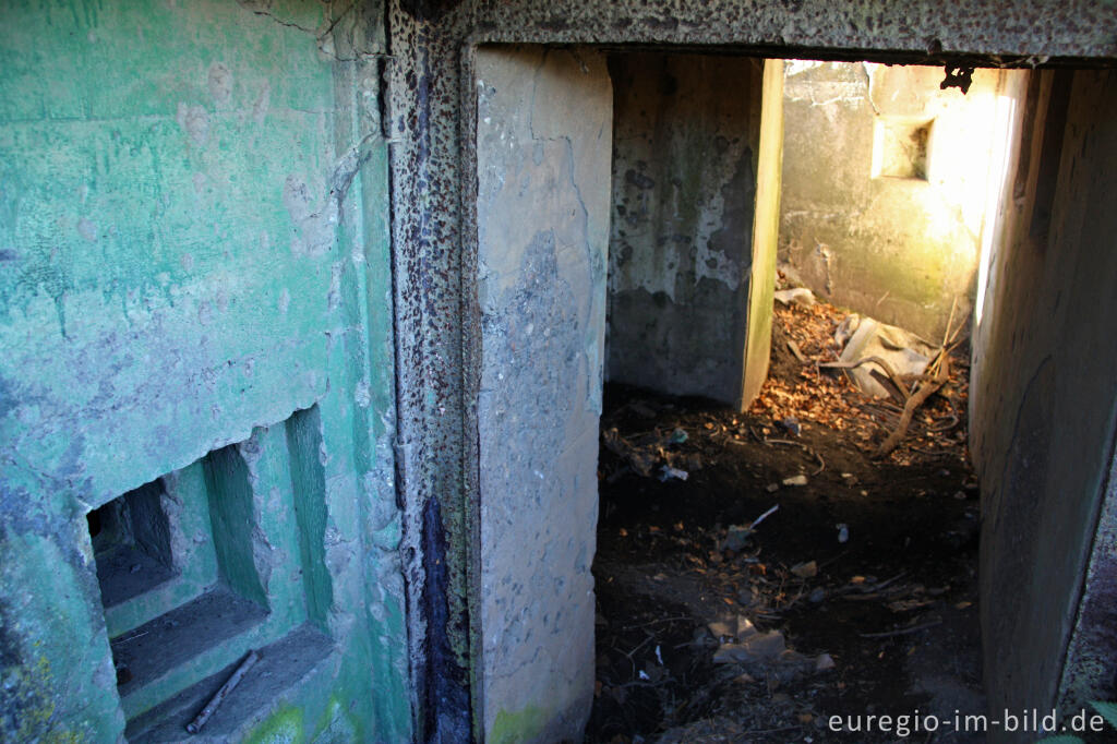 Bunkerruine zwischen Simmerath und Konzen