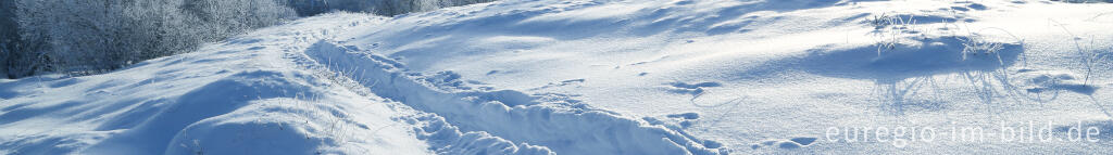 Detailansicht von Das nördliche Brackvenn im Winter