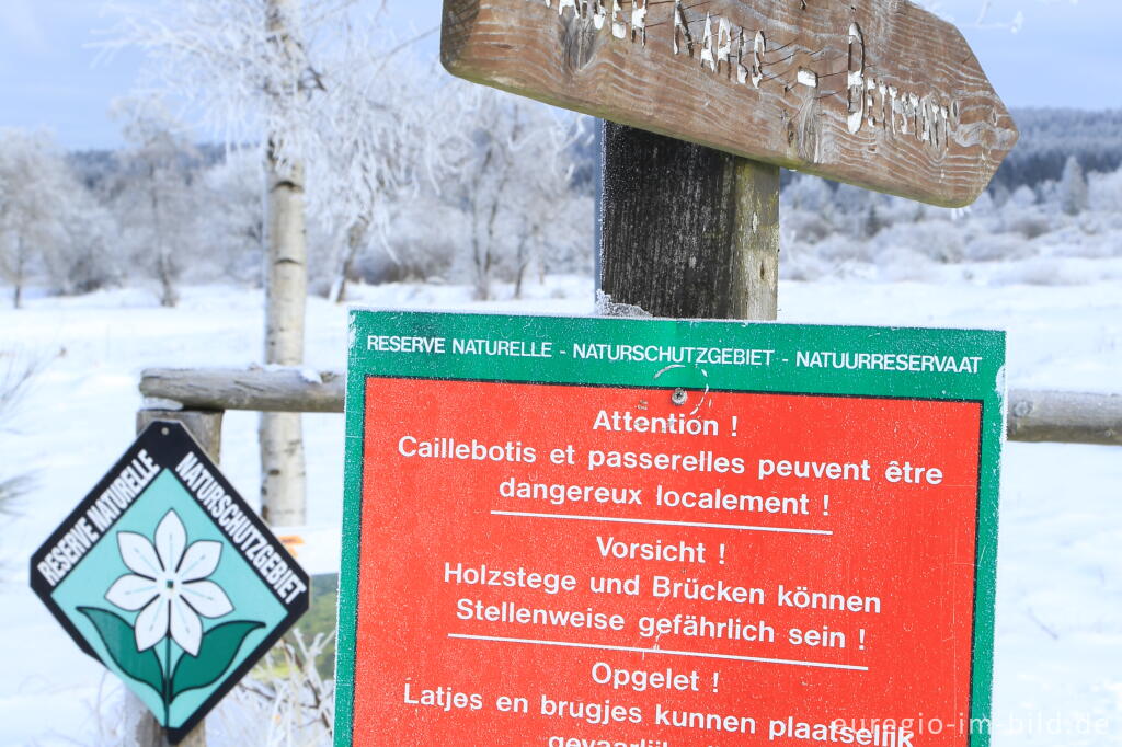 Detailansicht von Das nördliche Brackvenn im Winter
