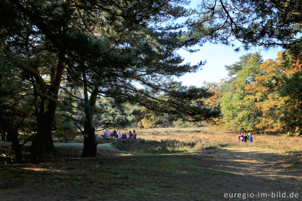 Detailansicht von De Ijzeren Man, Grenzpark Kempen-Broek