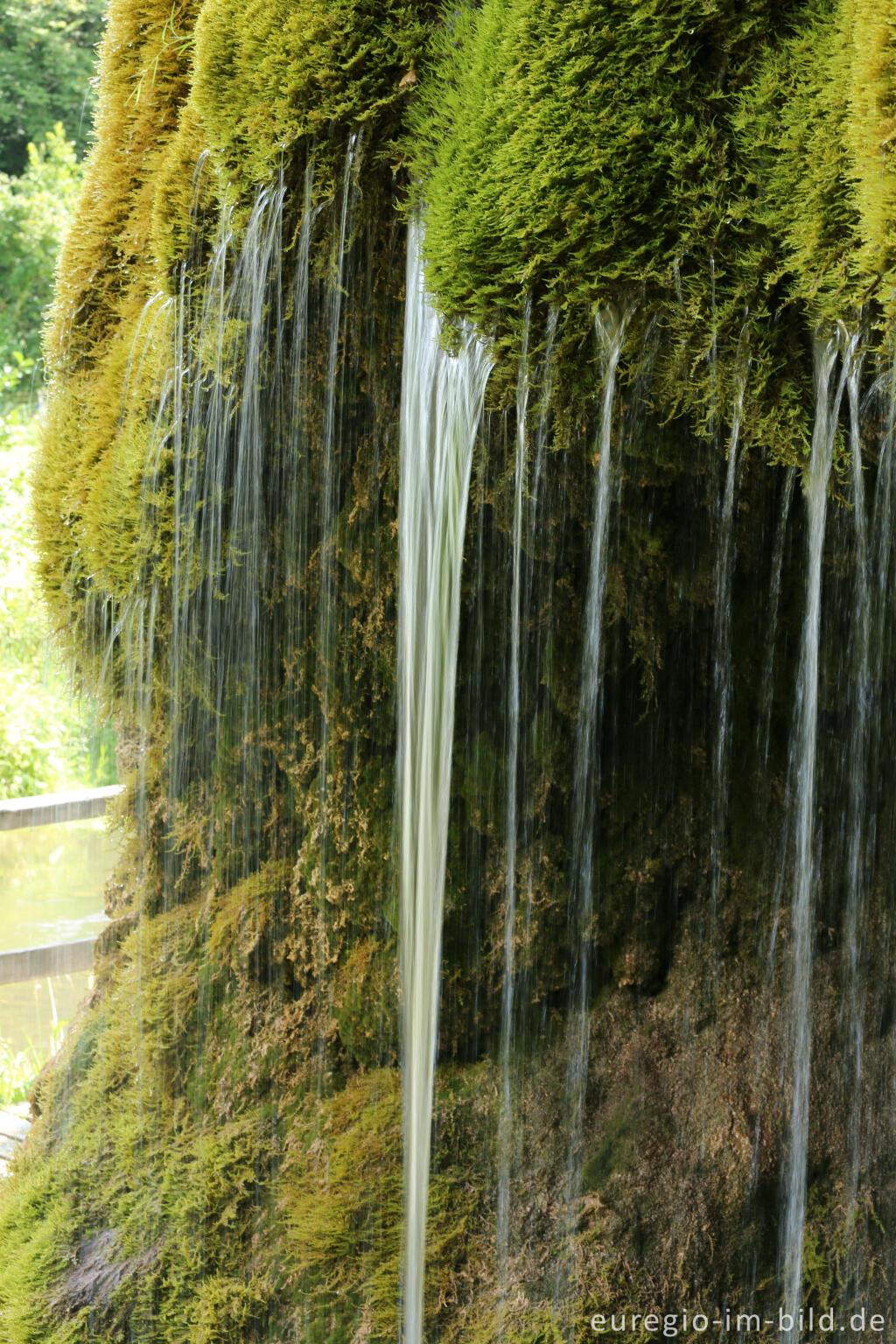 Detailansicht von Der DreimÃ¼hlen-Wasserfall in der Eifel bei Ãxheim AhÃ¼tte