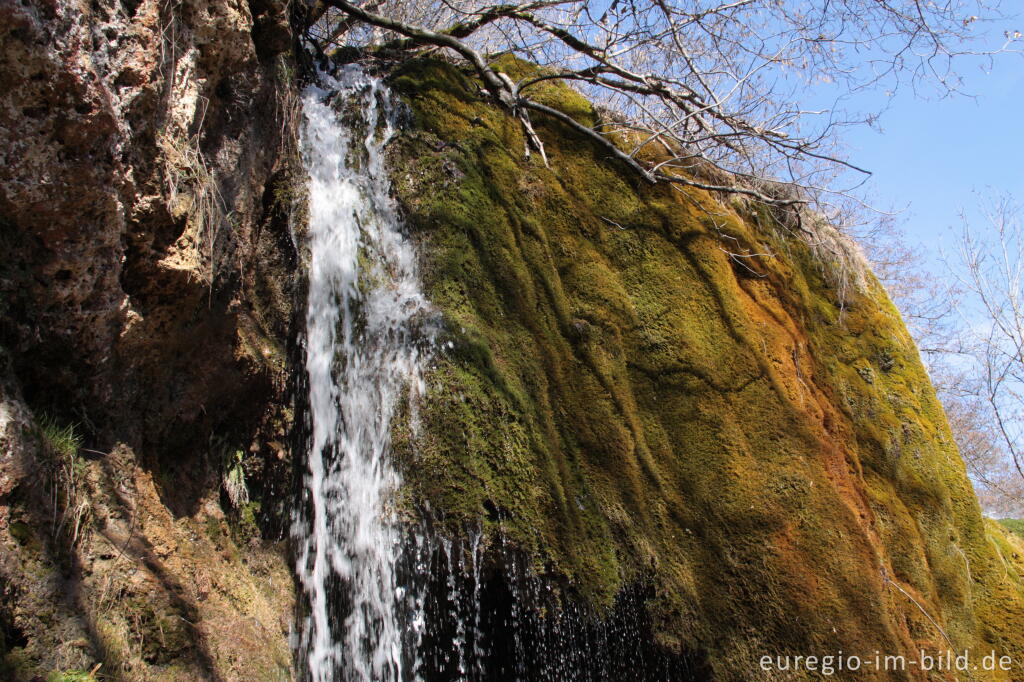 Detailansicht von Der Dreimühlen-Wasserfall in der Kalkeifel