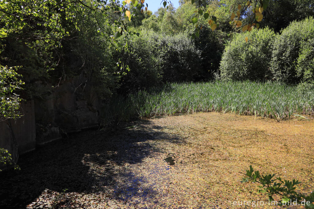 Detailansicht von Der Silbersee im Mayener Grubenfeld