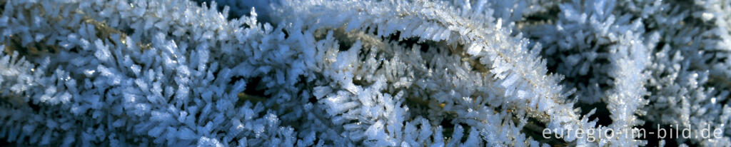 Detailansicht von Eiskristalle, "Dorfrundgang Lammersdorf"
